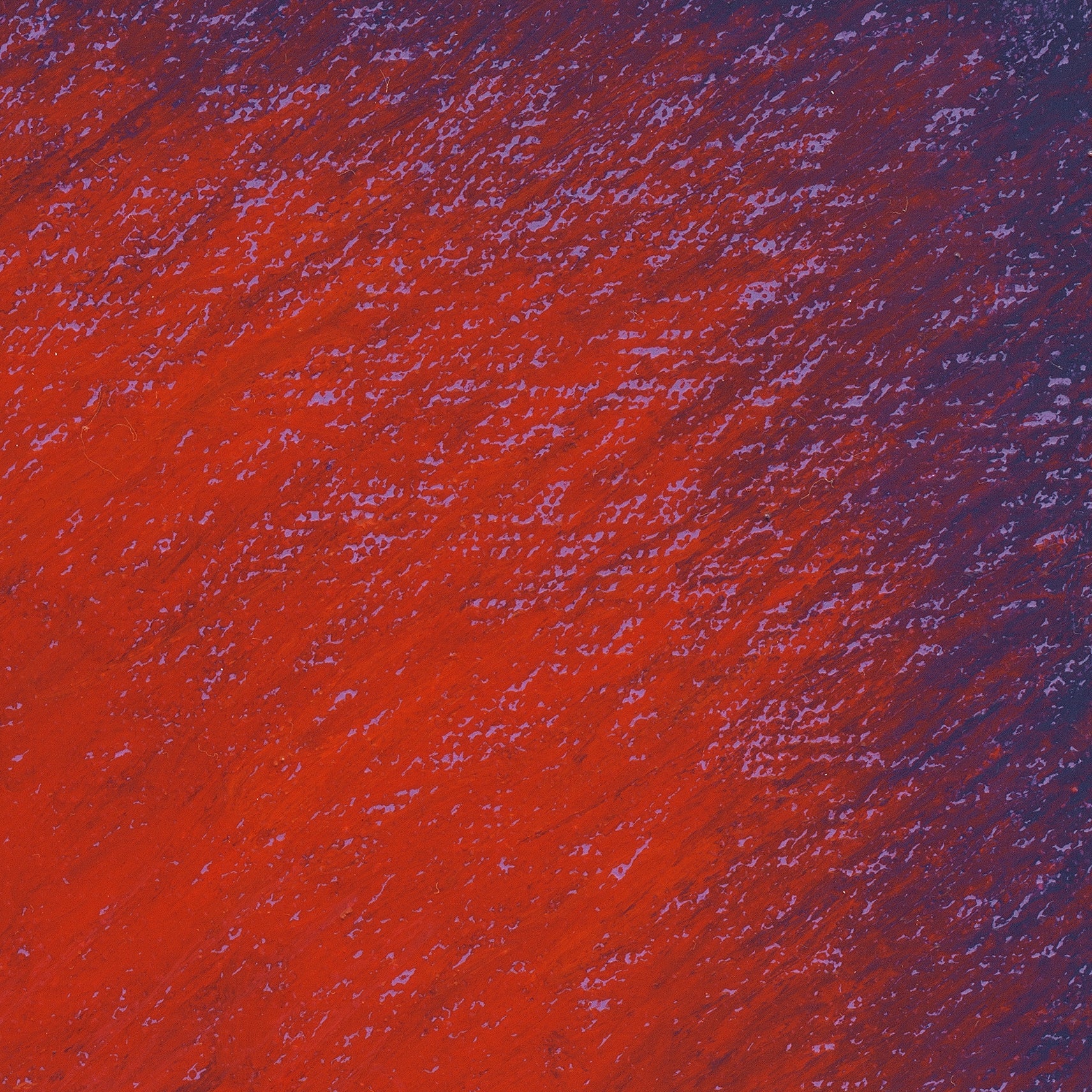 Without Experience (2026)
